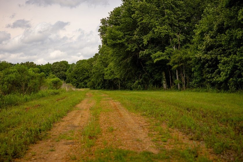 Hunting land for sale in Claiborne County, Mississippi. This - photo 40