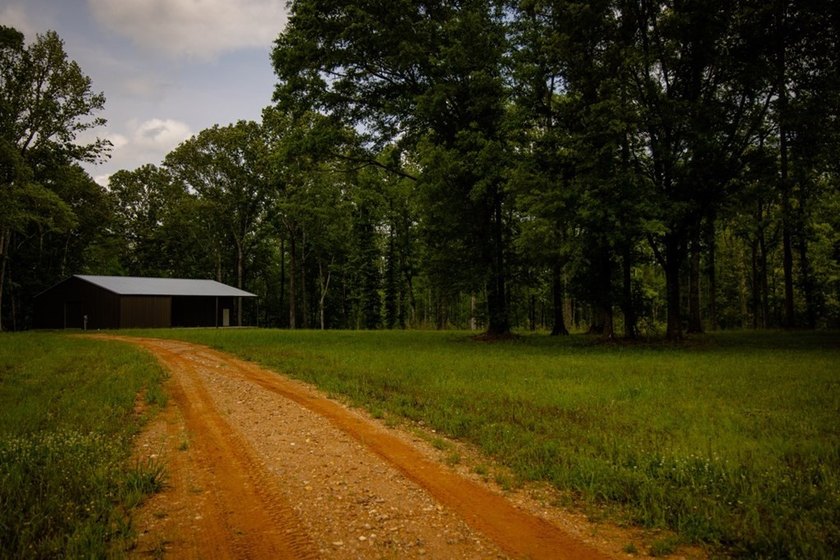 Hunting land for sale in Claiborne County, Mississippi. This - photo 42