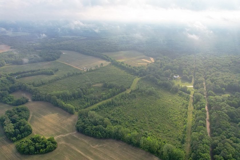 Hunting land for sale in Claiborne County, Mississippi. This - photo 43
