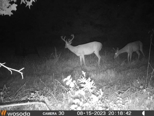 Hunting land for sale in Claiborne County, Mississippi. This - photo 48