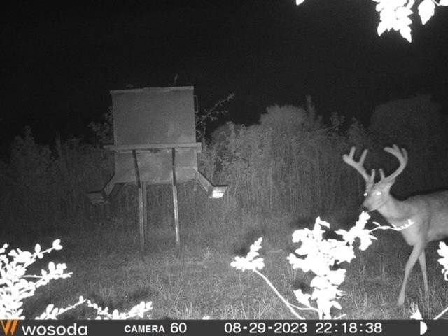 Hunting land for sale in Claiborne County, Mississippi. This - photo 49