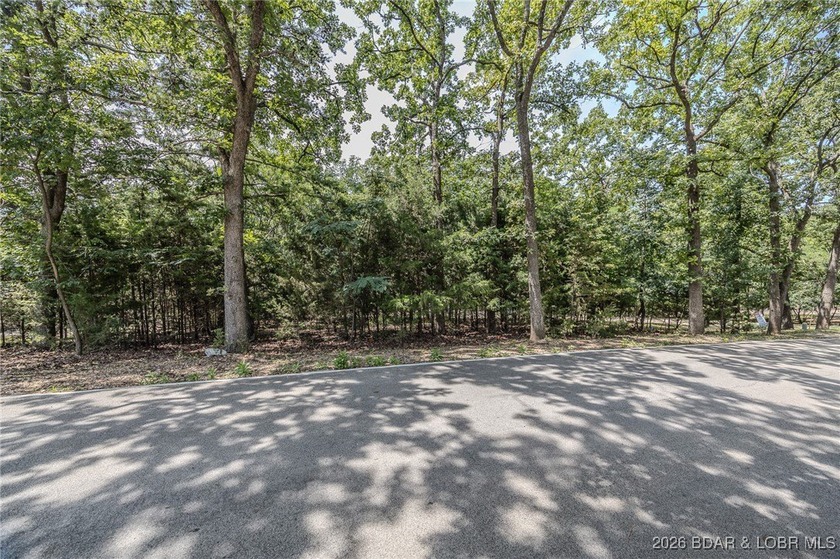 RARE OPPORTUNITY - The last remaining lot in the desirable - photo 5