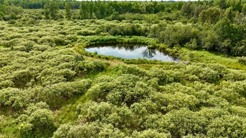 35+ acres of recreational parcel located just east of Deerbrook - photo 12