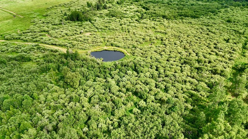 35+ acres of recreational parcel located just east of Deerbrook - photo 16