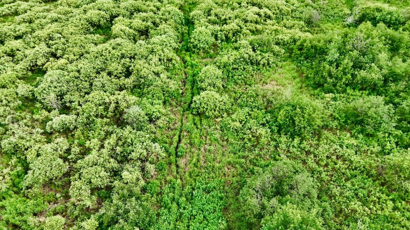 35+ acres of recreational parcel located just east of Deerbrook - photo 19