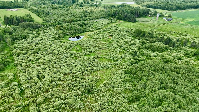 35+ acres of recreational parcel located just east of Deerbrook - photo 22