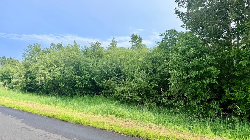 35+ acres of recreational parcel located just east of Deerbrook - photo 24
