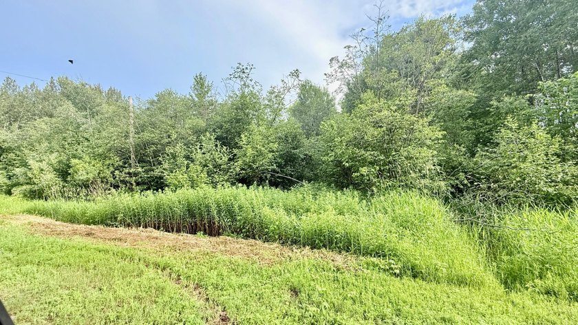 35+ acres of recreational parcel located just east of Deerbrook - photo 25