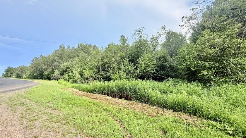 35+ acres of recreational parcel located just east of Deerbrook - photo 26
