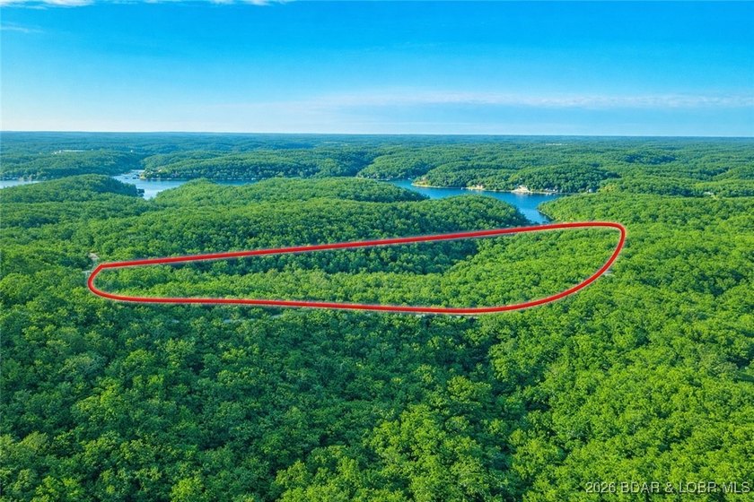 Nearly 50 acres of stunning Ozark beauty-this is your - photo 10