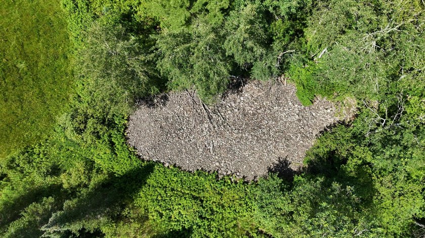 Beautiful 40-acre parcel offering a unique mix of mature pines - photo 20