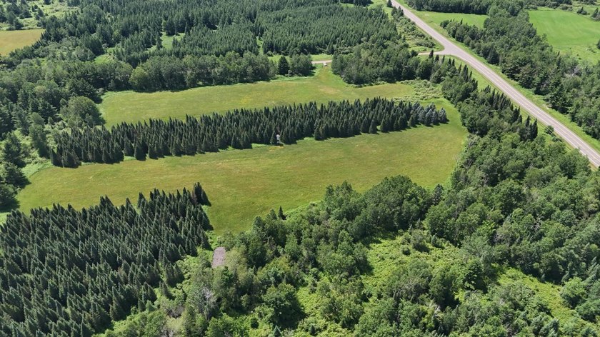 Beautiful 40-acre parcel offering a unique mix of mature pines - photo 23