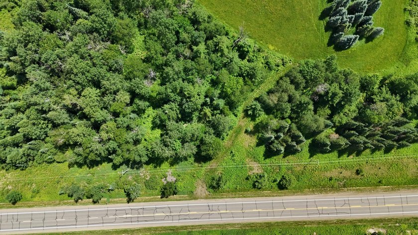Beautiful 40-acre parcel offering a unique mix of mature pines - photo 27