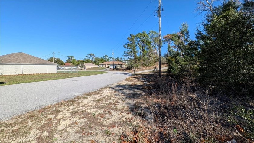 Under contract-accepting backup offers. Build your dream home in - photo 3