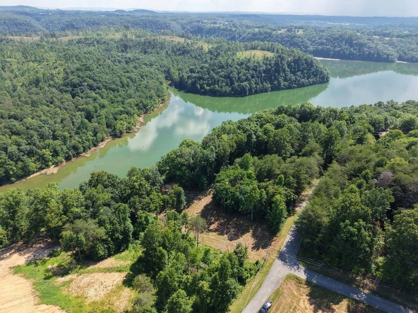 Don't miss this beautiful 0.69+/- acre lakeview lot overlooking - photo 5