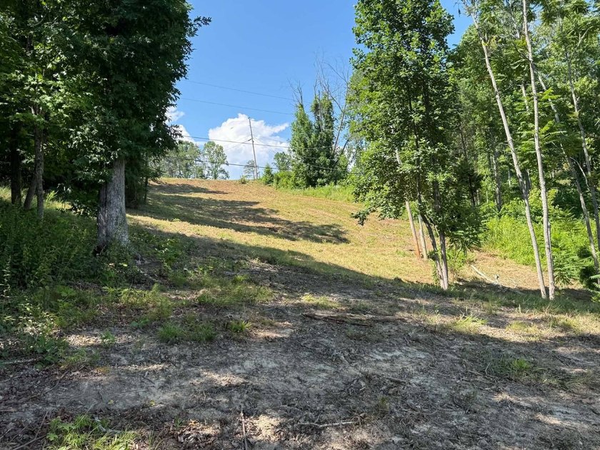 Don't miss this beautiful 0.69+/- acre lakeview lot overlooking - photo 8