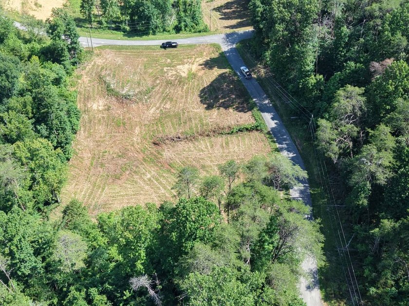 Don't miss this opportunity to own 1.5+/- acres (combined per - photo 3