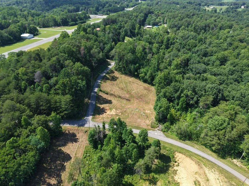 Don't miss this opportunity to own 1.5+/- acres (combined per - photo 4