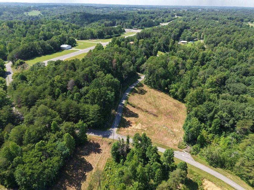 Don't miss this opportunity to own 1.5+/- acres (combined per - photo 6