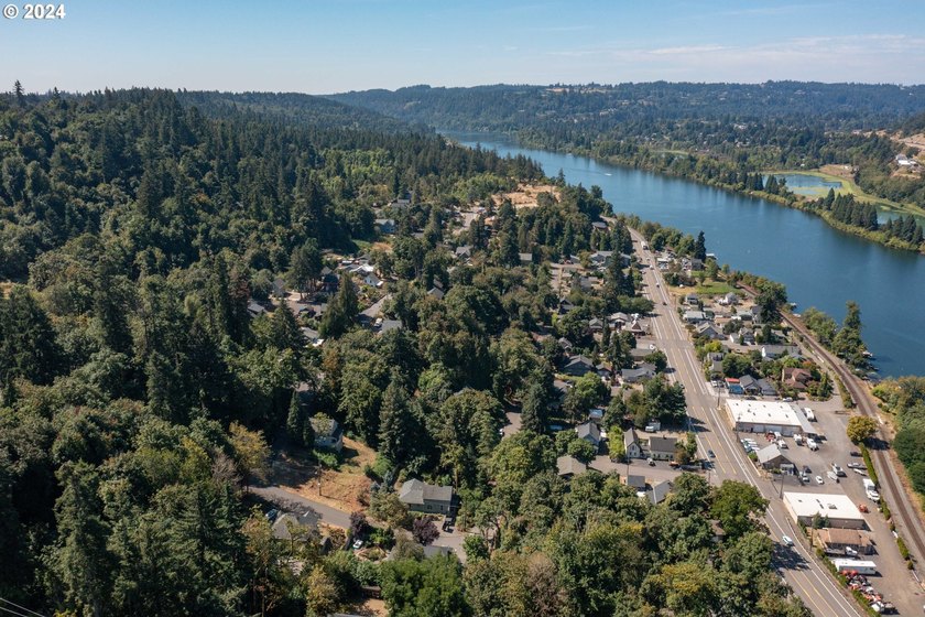 Historic Canemah District lot in Oregon City overlooking the - photo 6