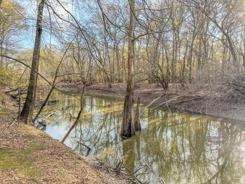 Flooding Timber and Habitat on the L'Anguille River. In the - photo 50