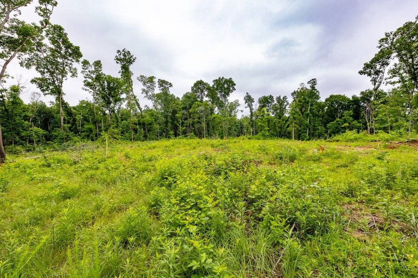 This 31.77+/- acre tract in Calloway County, Kentucky offers an - photo 11