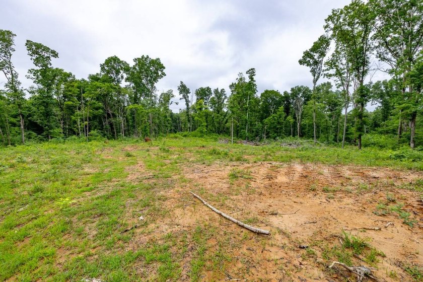 This 31.77+/- acre tract in Calloway County, Kentucky offers an - photo 12