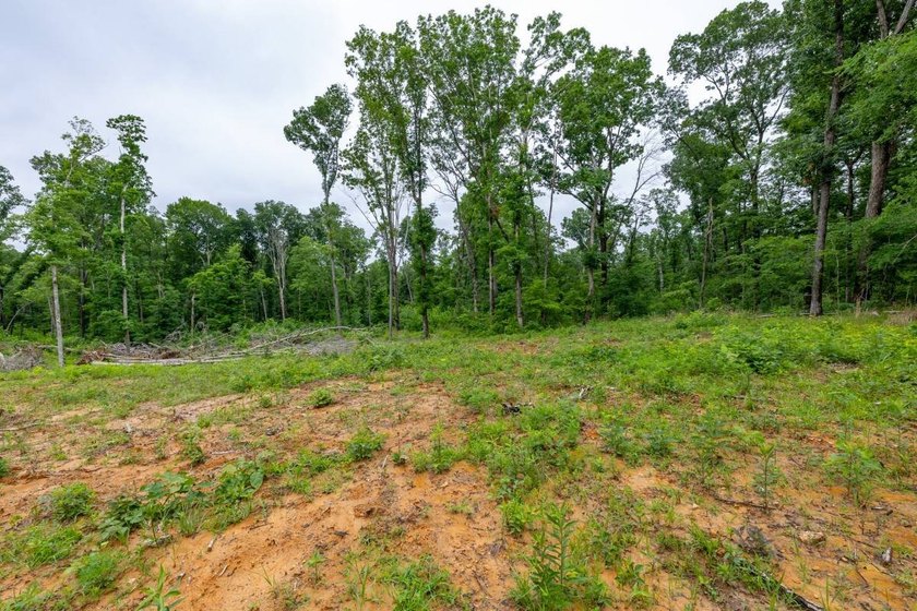 This 31.77+/- acre tract in Calloway County, Kentucky offers an - photo 13