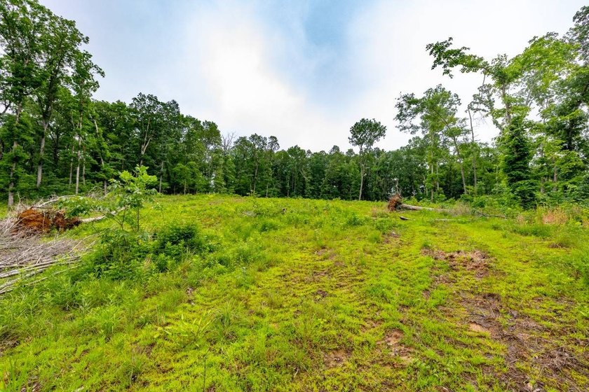 This 31.77+/- acre tract in Calloway County, Kentucky offers an - photo 14