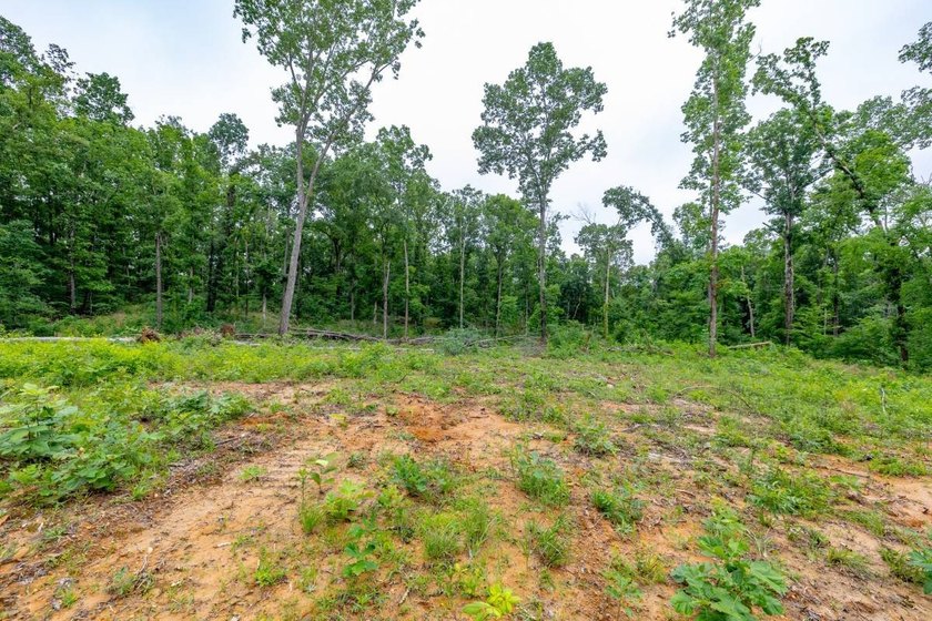 This 31.77+/- acre tract in Calloway County, Kentucky offers an - photo 15