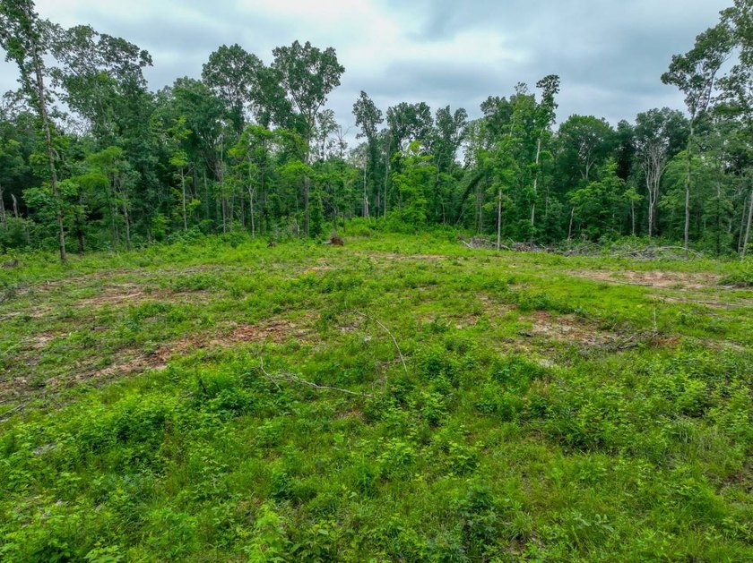 This 31.77+/- acre tract in Calloway County, Kentucky offers an - photo 16
