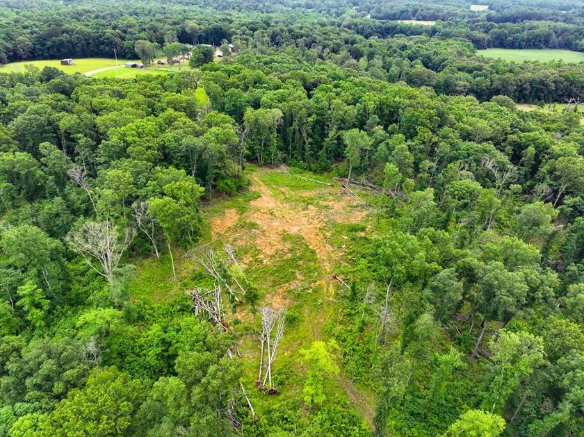 This 31.77+/- acre tract in Calloway County, Kentucky offers an - photo 17