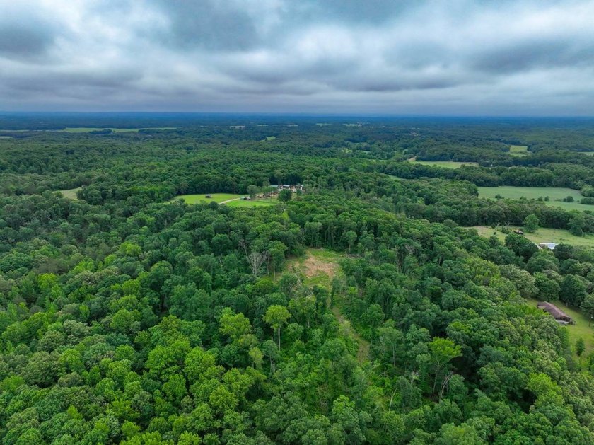 This 31.77+/- acre tract in Calloway County, Kentucky offers an - photo 18