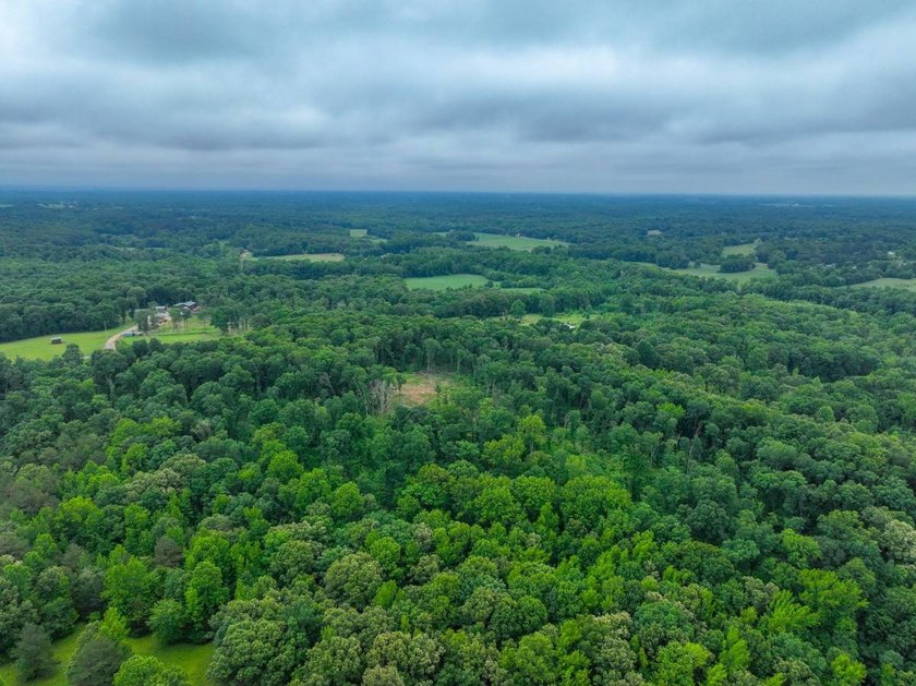 This 31.77+/- acre tract in Calloway County, Kentucky offers an - photo 25
