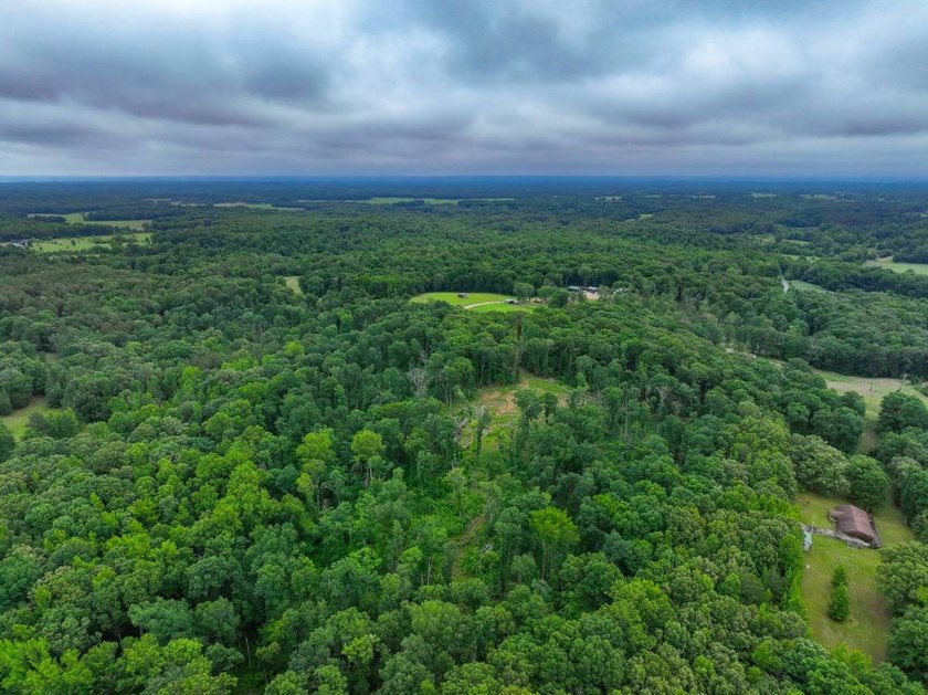 This 31.77+/- acre tract in Calloway County, Kentucky offers an - photo 31