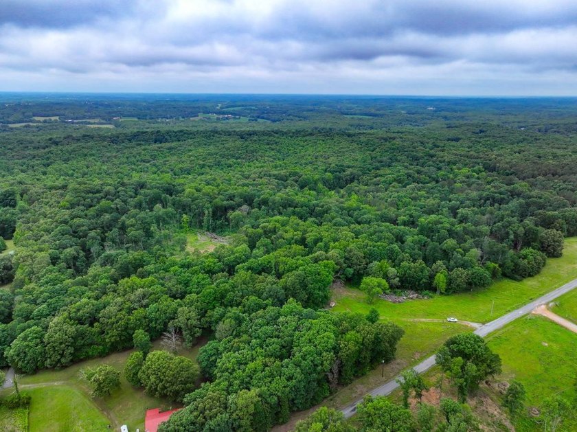 This 31.77+/- acre tract in Calloway County, Kentucky offers an - photo 32