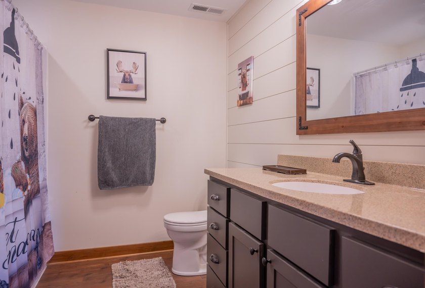 Incredible upgrades at this home on Island Lake! Enjoy a prime - photo 24