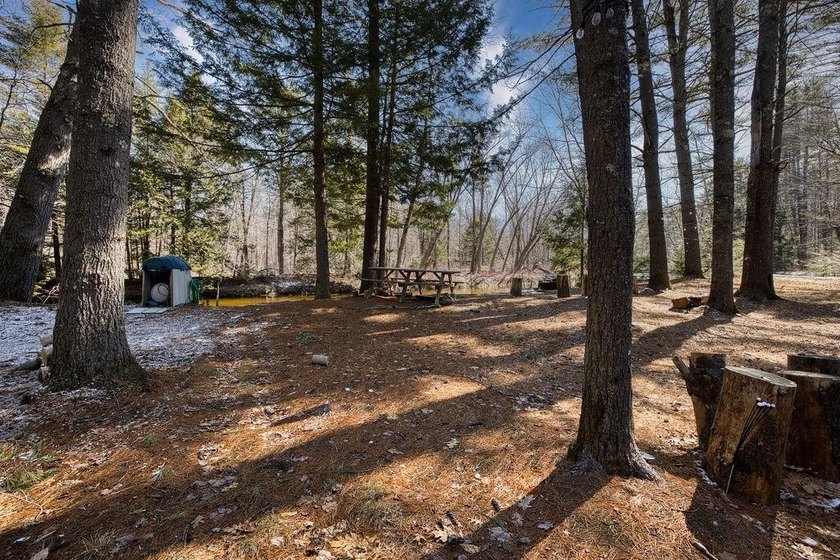 200 feet on the Bear Camp River. This beautiful lot offers peace - photo 5