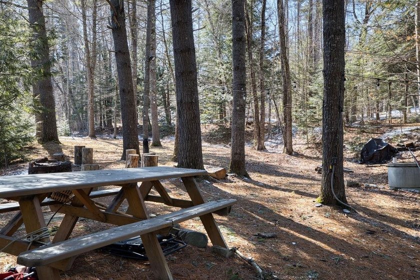 200 feet on the Bear Camp River. This beautiful lot offers peace - photo 7
