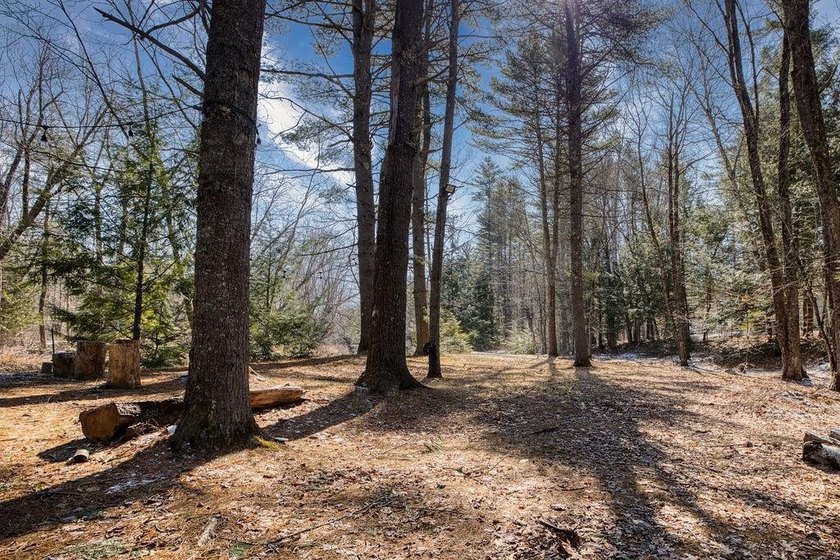 200 feet on the Bear Camp River. This beautiful lot offers peace - photo 9