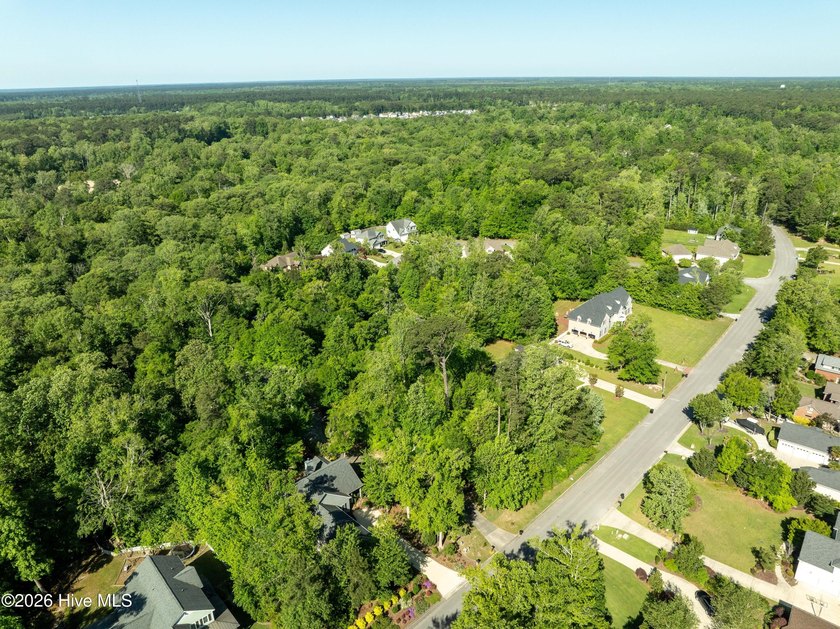 RARE OPPORTUNITY! One of the last available lots in Neuse - photo 13
