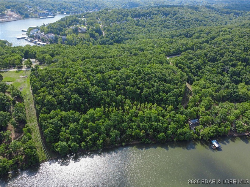 Discover this rare 9+ acre lakefront land 5 minutes from - photo 6