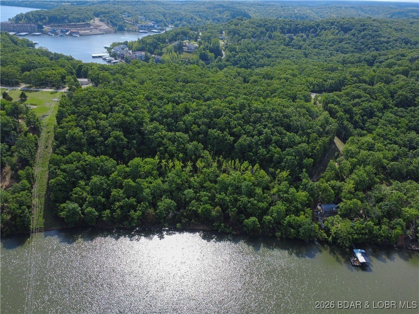 Discover this rare 9+ acre lakefront land 5 minutes from - photo 8