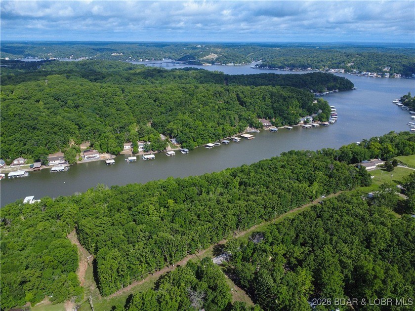 Discover this rare 9+ acre lakefront land 5 minutes from - photo 9