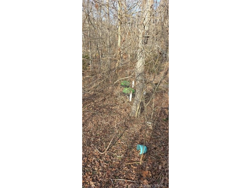 Two great lots with seasonal lake view to build your own home - photo 8