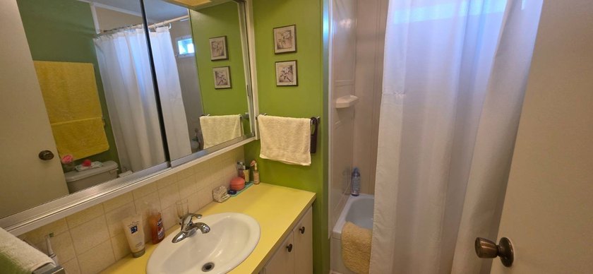 751 10th St E Lot 114 Palmetto FL. 34221 Palm Bay Mobile Home - photo 8