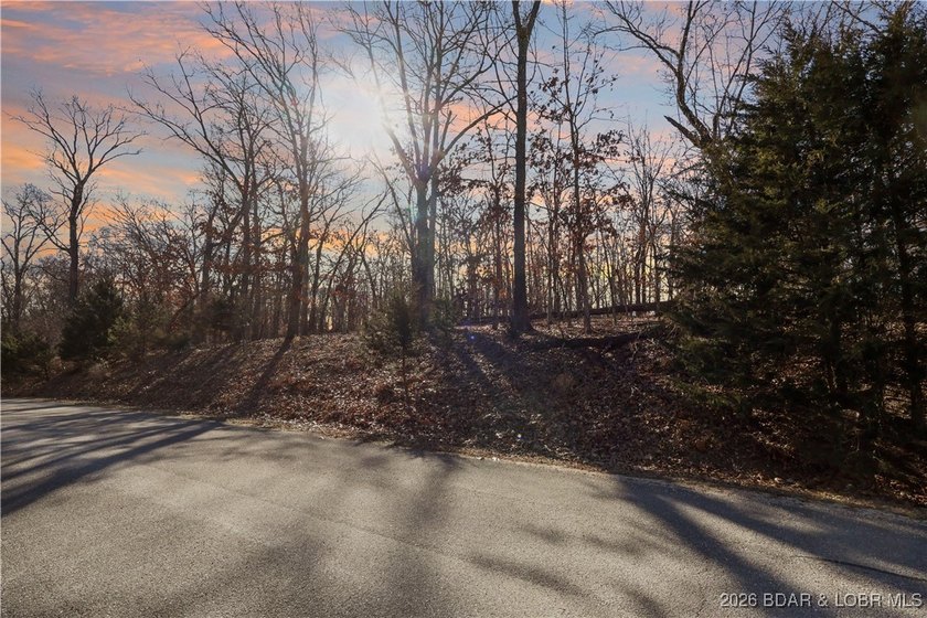 Discover an exceptional opportunity to build your dream home in - photo 6
