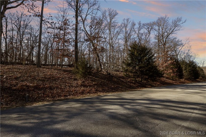 Discover an exceptional opportunity to build your dream home in - photo 8