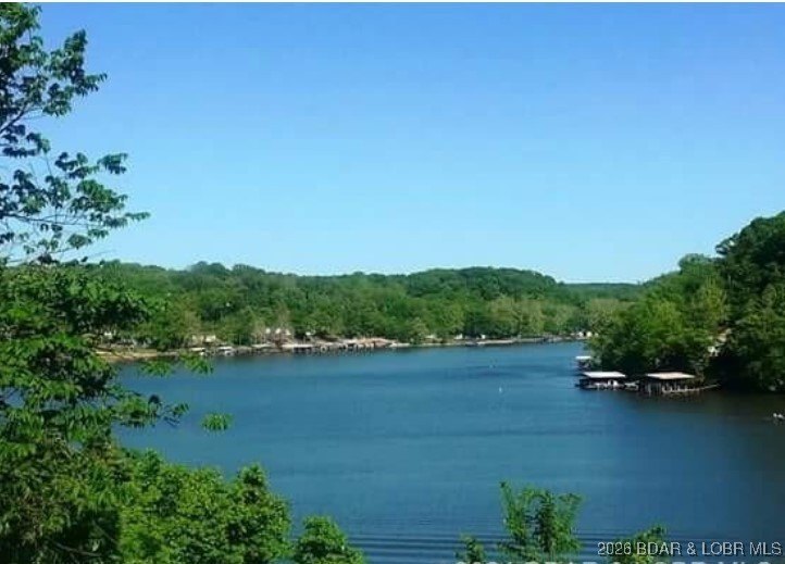 Stunning 100-foot lakefront lot with breathtaking, miles-long - photo 2