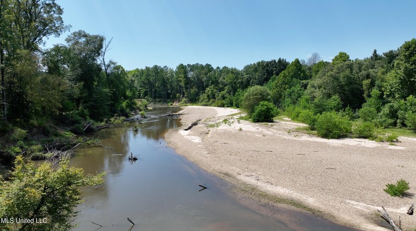 Welcome to 108+- acres in Summit, MS, located on the beautiful - photo 12